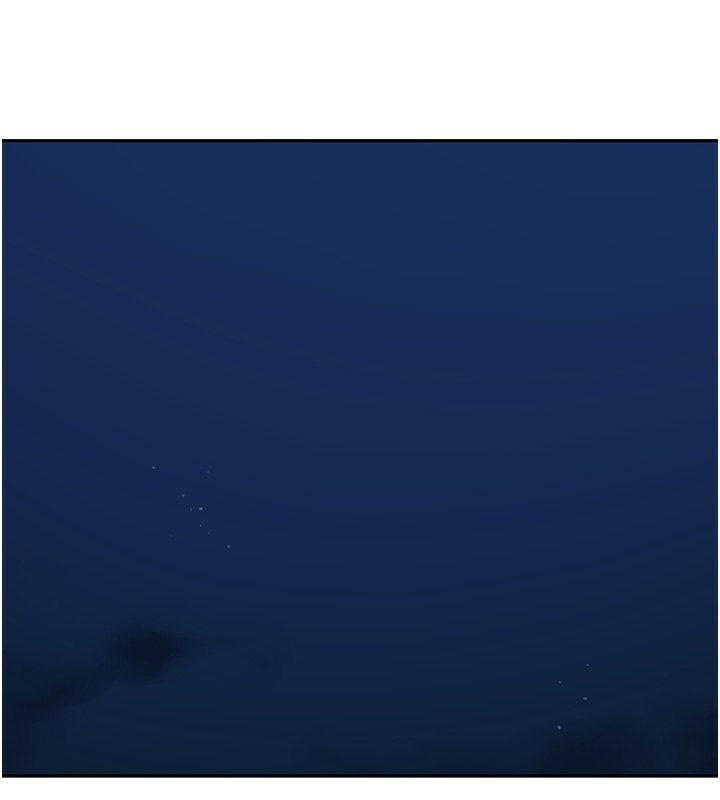 95.jpg